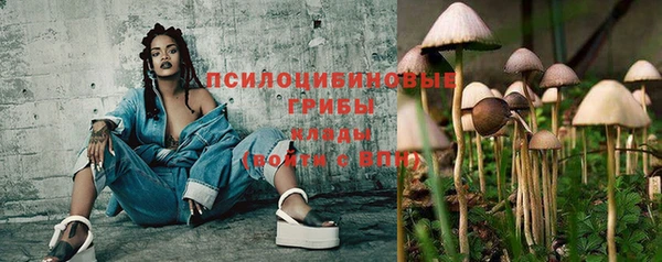 винт Армянск