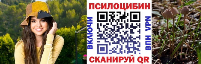 Галлюциногенные грибы мицелий  гидра зеркало  Полярный 
